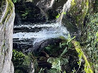 IMG_7004