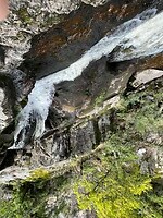 IMG_6996