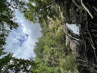 IMG_6992