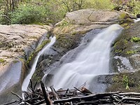 IMG_6990