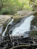 IMG_6987