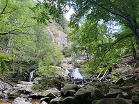 IMG_6985