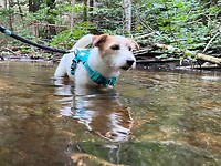IMG_6983