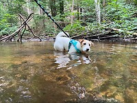 IMG_6982