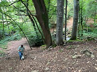 IMG_6977
