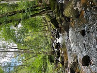 IMG_6974