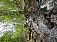 IMG_6973