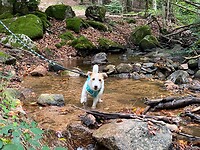 IMG_6971