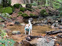 IMG_6970