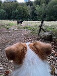 IMG_6969