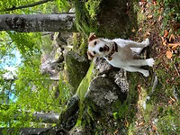 IMG_6961