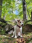 IMG_6960