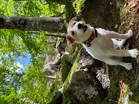 IMG_6956