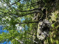 IMG_6955