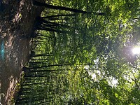 IMG_6950