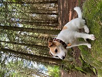 IMG_6949