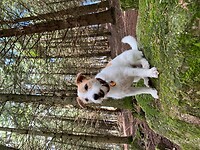 IMG_6947