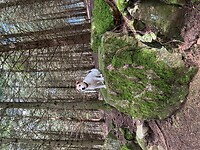 IMG_6945