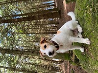 IMG_6944
