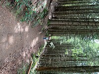 IMG_6942