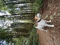 IMG_6941