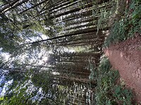 IMG_6935