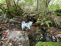 IMG_6920