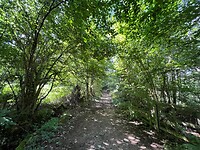 IMG_6918