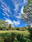 IMG_6917