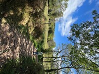 IMG_6916