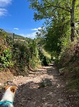 IMG_6912