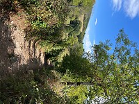 IMG_6911