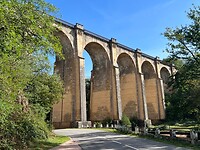 IMG_6903