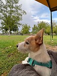 IMG_6884