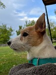 IMG_6883
