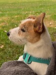 IMG_6878