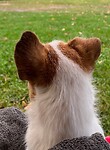 IMG_6874
