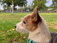 IMG_6872
