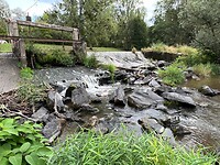IMG_6863