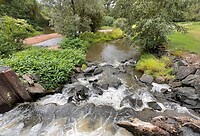 IMG_6859