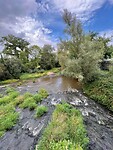 IMG_6858
