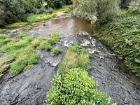 IMG_6857