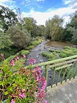 IMG_6856