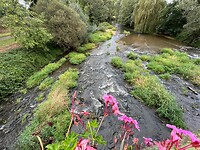 IMG_6855
