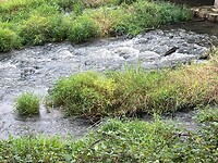 IMG_6854