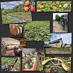 IMG_6844
