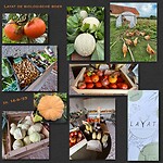 IMG_6843