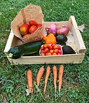 IMG_6834