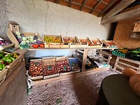 IMG_6828
