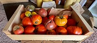 IMG_6826